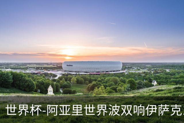 世界杯-阿亚里世界波双响伊萨克1射2传 瑞典5-1突尼斯